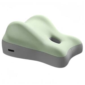 Home the sensuara pillow